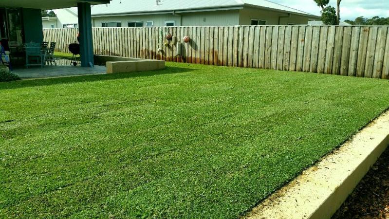 Laying new lawn by Surfscape Garden Care